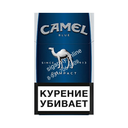 CAMEL COMPACT